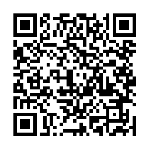 也是不断的被击杀的……虽然数目依然占据绝对的优势二维码生成