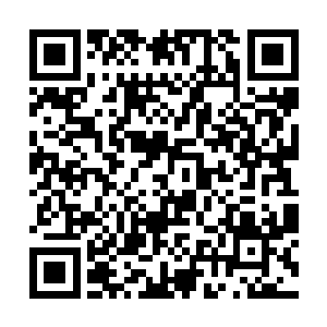 也是乘着世界来不及消化完时作为时空门开启的药引二维码生成