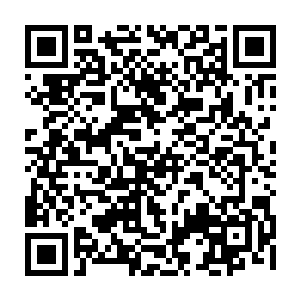 也是他们在华夏电视台的屏幕上刷脸甚至借助某个角色一炮而红的重要机会二维码生成