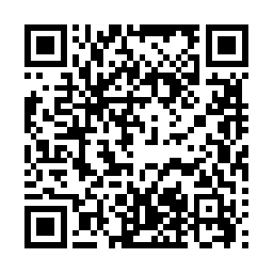 也是同样来到上映第二周的小熊维格受到葫芦娃的分流影响二维码生成