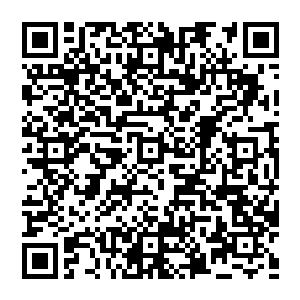 也是唯一一次接触足球――在他嗷嗷叫着率先冲过去一脚将这个全校唯一的足球踢到学校围墙外的山崖下之前……二维码生成