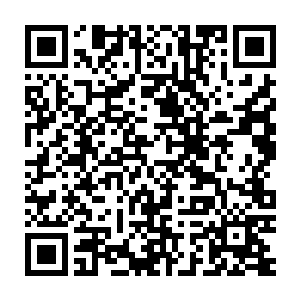 也是因为受不了大学宿舍内不和脾气的室友所以搬出来跟小沐一起住的二维码生成