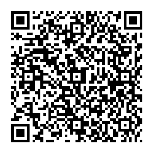 也是因为在他突破元婴的那一刻似乎总是被天道锁定一股强大的召唤无时无刻在吸引着他吸引着他前往渡劫飞升二维码生成