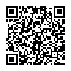 也是当初将楚旬追杀得上天无路入地无门的塔尔塔罗斯的老家二维码生成