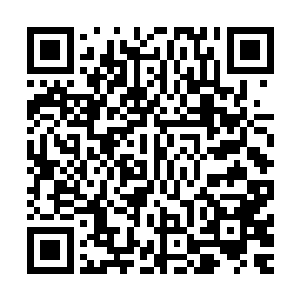 也是忍不住偷偷的瞅了瞅秦方……却见秦方只是淡定的笑了笑二维码生成