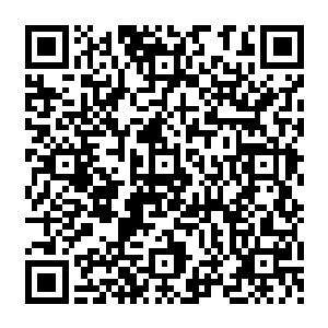 也是忍不住回头看了赫尔墨斯一眼的……这可是一个实力堪比吸血鬼亲王伊利亚的绝顶强者二维码生成