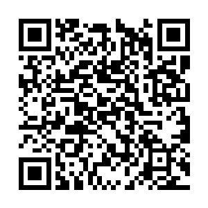 也是斯宾塞家族统治艾斯基尔城最得力的一只狼犬二维码生成