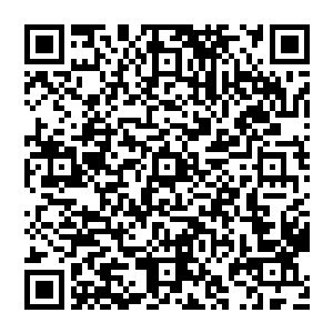 也是无法揣测到小龙进入成熟期会强大到何种程度的……就眼前银脚小猫重铸肉身的过程中爆发出来的实力二维码生成