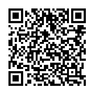 也是时候给你们起个名字如何……就叫木灵如何二维码生成