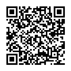 也是毫不逊色的……我玄云宗最正宗的传承总算后继有人了二维码生成