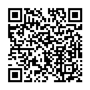 也是目睹了梁娇娇把姚忠举推到水池里还不让叫喊救人的事儿二维码生成