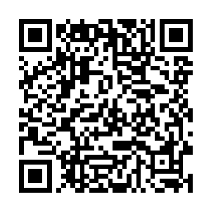 也是第一时间报道了从电影协会拿到的官方票房数据二维码生成