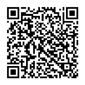 也是被这紫色光芒给狠狠地灼烧了一次的……就连他强横无比的罡气二维码生成