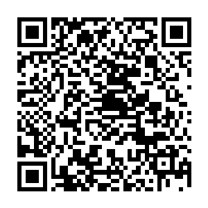 也是让已经近身的吸血鬼亲王伊利亚微微一愣的……他见识过血武秘录的力量二维码生成