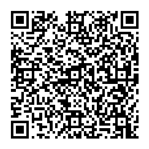 也是那坞堡之主其实也就是原来地方一个聚族而居的小村子的族长看中了杨得大熊也似的体形二维码生成