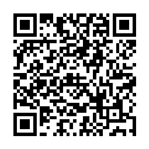 也是非常欢迎你的但是如果你要是这样的不识抬举的话二维码生成