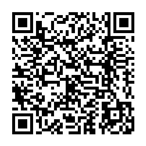 也是领着十多个单单只是外形一看就不简单的猛男踏上了酒店的专属电梯二维码生成