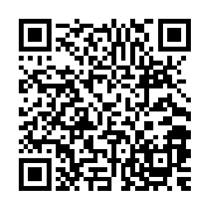 也最多是一些破旧的或者没人居住的老屋还会保留着这样的木门二维码生成
