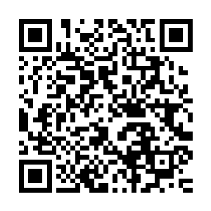 也有不弱于万界榜上一百零八绝世妖孽的那种资质绝顶无上巨擘二维码生成