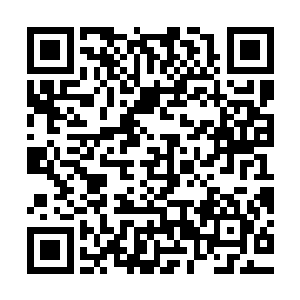 也有互相促进的作用――你以为你们今天这样的结果我没有想到二维码生成