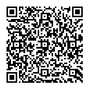 也有人怀疑这是不是木乃伊少尉搞出来的一个恶作剧――用一把木头做成的家伙漆上金属漆来蒙人二维码生成