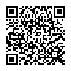 也根本就不用废如此大的周折不过这几种毒宝可是顶级的宝贝二维码生成