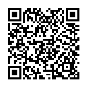 也根本无法挡住这群上万只数目甲木噬仙蛊的攻击二维码生成