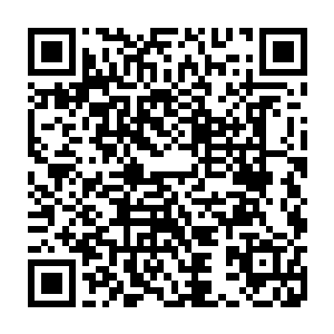 也根本没把我们当作正儿八经的客人来对待――见过哪个迎客的不让走正门的二维码生成