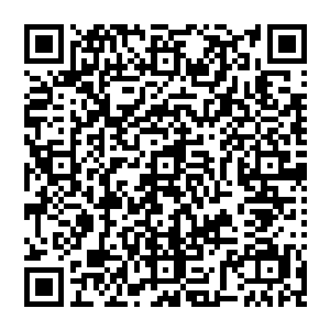 也没去管旁边的孩子怎么做――她也不指望这孩子会像冬姬或者白兰这样跟她你一口我一口的分食二维码生成