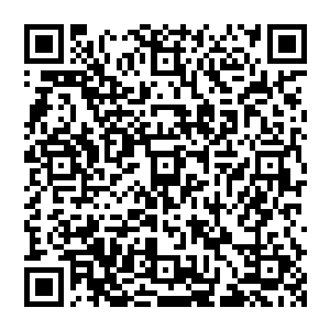 也没工夫去管为什么一杯热乎乎的仙茶会让易红仙人在岩浆河里游泳都是一副被冻的不轻的模样~二维码生成