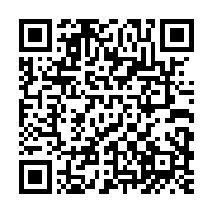 也没想到过那些任由他们宰割的人族俘虏会给他们带来什么威胁二维码生成