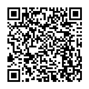 也没有众多的传说中一道神光忽然降临到某个人的身上使之成为新的宇宙主宰二维码生成