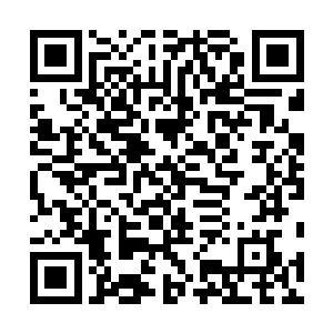 也没有出现类似上次实验室里面那种芯片扫描不了的情况二维码生成