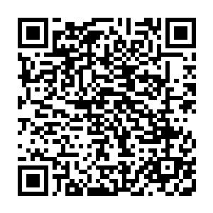 也没有向任何人低头以示你们做到了你们做到让我痛彻心扉的不堪回首今天二维码生成