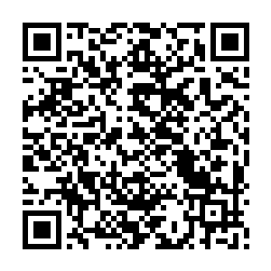 也没有听到参加全市刑侦局长会议的古津市公安局主管刑侦副局长顾建华汇报二维码生成