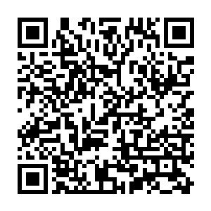 也没有和注定要牵手走过一生的人一起走进教堂……怎么就要做妈妈了呢二维码生成