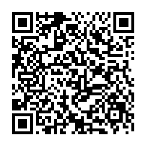 也没有看到意料之中的那些黄的红的白的脑浆……他居然顶住了华叔的攻击二维码生成