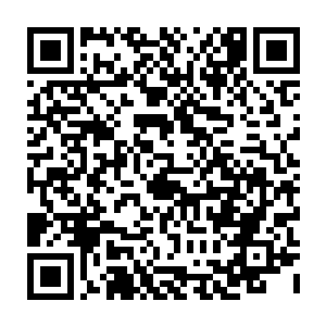也没有遇到新的报信这者……我已经把周遭所有的亡灵巡逻队换成了我的人二维码生成