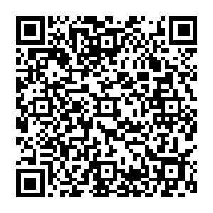 也没有隐瞒我……我也答应了会给他安排参与争夺天道石的位置……这小子还真的很天真二维码生成