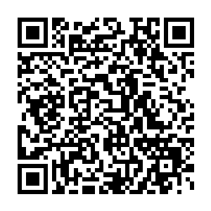 也没能说出点什么来的……倒是注意到了秦方和银脚小猫那亲昵的模样二维码生成