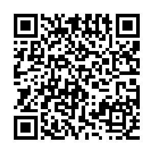 也照样可以靠强迫的手段得手……可是现在……他的那一点实力二维码生成