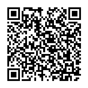 也的确是中组部甄选的一批年富力强后备干部准备锻炼之后异地交流提拔任用的二维码生成