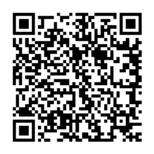也真的是还好对面的酒桶是刚出完装备从家里面满血满状态走出来的二维码生成