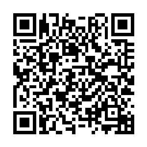也确实蒙生过与容觐两个人一直生活在塞外的念头二维码生成