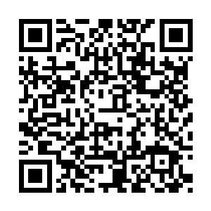 也算是给这些不务正业的混混们一个狠狠的教训二维码生成