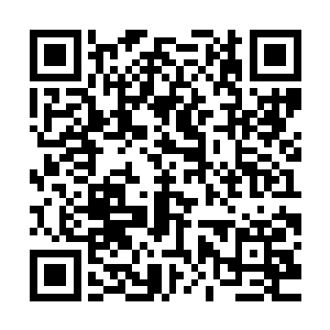 也纷纷拿出砍刀冲进来抓住我们这边支持狗熊的帮会老大的就砍二维码生成
