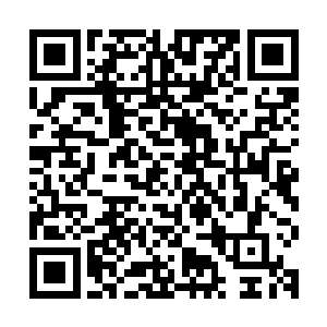 也终于将自己身为仙羽门第一太上长老的实力给完全展现了出来二维码生成