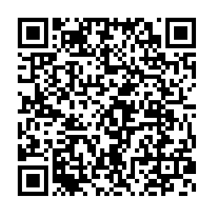 也绝对都是门下弟子中的佼佼者了……一个个都不是什么简单角色的二维码生成
