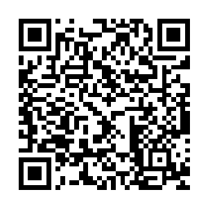 也绝无一人不想瞧瞧的楚青衣的无双才情与莫问焘的绝世神剑二维码生成