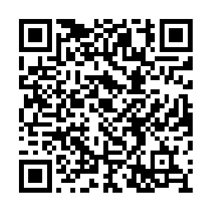 也能透过他的演奏理解他热烈爱着某个人的心情二维码生成